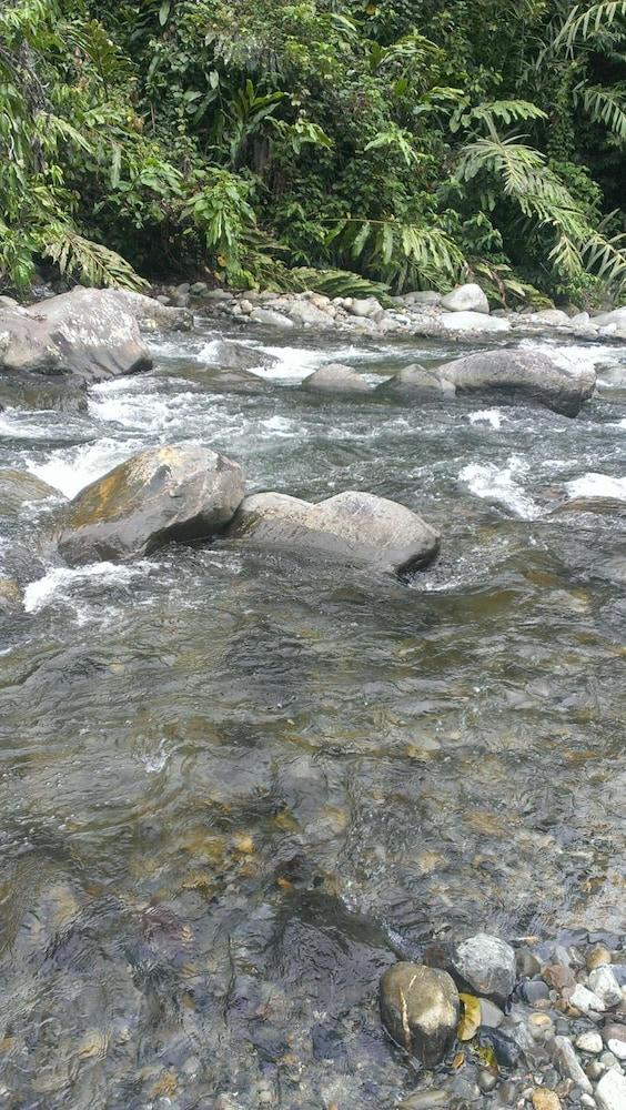 Kinabalu Poring Vacation Lodge Kampung Poring 외부 사진